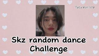 Straykids Random Dance Challenge ( new & old) ( requested)