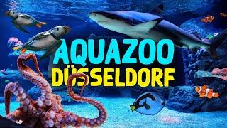 Aquazoo Löbbecke Museum Düsseldorf | Zoo-Eindruck