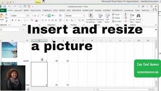 Insert and resize a picture in Excel with VBA