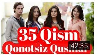 QANOTSIZ QUSHLAR 35 QISM TURK SERIALI UZBEK TILIDA | КАНОТСИЗ КУШЛАР 35 КИСМ УЗБЕК ТИЛИДА