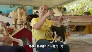 『ねこしま』本編映像第二弾解禁