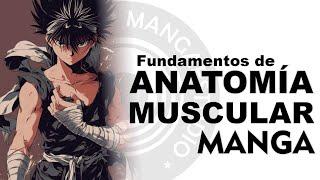 Principios de Anatomía Muscular para Manga japonés