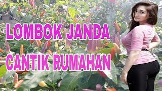 Lombok Janda Cantik Rumahan || Lombok Pelangi