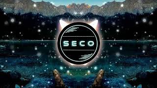 Wolfgang Petry - Weiß' der Geier (SECO Bounce Remix)