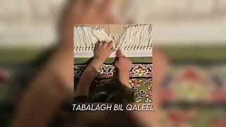 Tabalagh bil Qaleel(slowed&reverb nasheed)