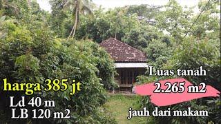 Dijual pekarangan luas 2.265 m² bonus rumah besar kokoh. Harga 385 juta. ISTIMEWA