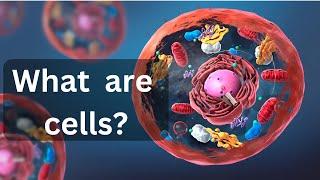 what are cells in human body|| what are cells made of|| What are cells?