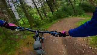 Spooky Wood Descent, Glentress Trail Centre