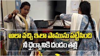 Viral Video | Brave Woman Caught Snake in Office Room | Samayam Telugu