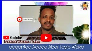 Sagantaa Addaa /Abdi Teyib Wako waliin taasifne