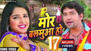 Mor Balamua Ho | Full Song | Nirahua Rickshawala 2 | Dinesh Lal Yadav "Nirahua", Aamrapali