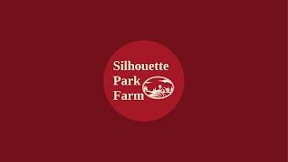 Silhouette Park Farm is live from Nindigully pub