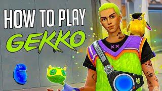 How to Play GEKKO (Advanced Gekko Tutorial)