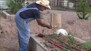 GARDENING - HOW TO: "Hardening Off" : Super Easy Methods!