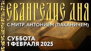 Толкование Евангелия с митр. Антонием (Паканичем). Суббота, 1 февраля 2025 года.