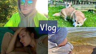 решила поговорить с Вами мы приболелинаш VLOG