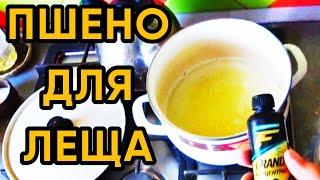 Вкусное ПШЕНО для ЛЕЩА!  Лучшая добавка в прикормку для леща