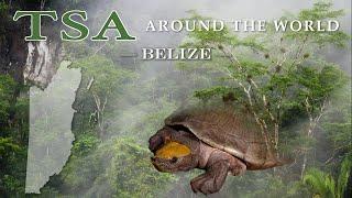 TSA Around the World: Belize