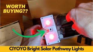 CIYOYO Bright Solar Pathway Lights Outdoor, 8 Pack Solar Garden Lights, IP65 Waterproof - Worth It?