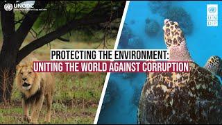 Protecting the environment – International Anti-Corruption Day