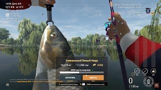 Fishing planet. Виппинг Виллоу Карп. Фарм на карпах. Weeping Willow Fishery Carp.