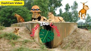 Safari Zoo Lahore 2003 - DashCam Video Lahore Tracks