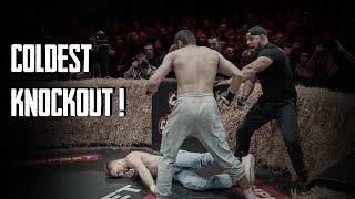 The Most Brutal KO and Fights of Bare-Knuckle Boxing TOP DOG 31 ! (HIGHLIGHTS)