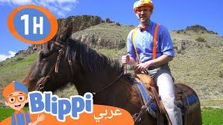 بليبي يزور مزرعة | بليبي بالعربي | Blippi Visits a Ranch