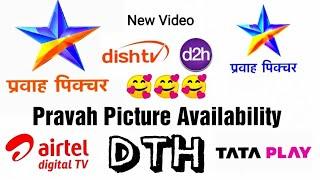 Pravah Picture Availablity DTH 20 May 2022 || PRAVAH PICTURE Channel Number Airtel DTH D2H Dish TV