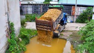 First New Project Landfill Flooded area !!! Bulldozer Push Stone ,Truck 5Ton Spread Stone