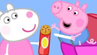 Baby George Pig Gets A Cookie  | Peppa Pig Official Full Episodes