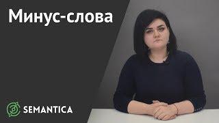 Минус слова: что это такое и зачем они нужны | SEMANTICA