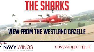 The Sharks: View from the Westland Gazelle