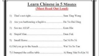 Learn Chinese in 5 Minutes (Warning: Contains some strong language)