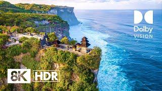 TROPICAL PARADISE - BEST OF DOLBY VISION™ 8K HDR