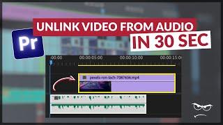 UNLINK/SEPARATE Your Audio and Video | Premiere Pro (2023)