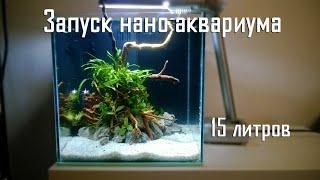 "Домик для петушка"-запуск нано аквариума./"The house of the Betta"-the launch of the nano aquarium