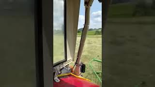 Schwadern mit IHC 633 und Stoll 315 ds Schwader | NB Agrarvideos |