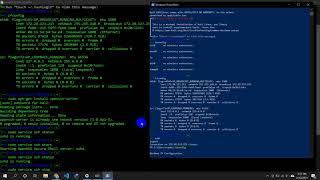 SSH in Kali Linux | Windows