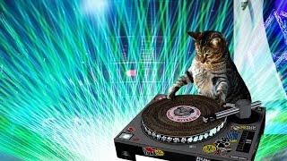 DJ Cat - Myau Myau Myau