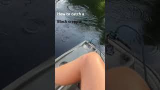 How to Catch a Black Crappie!!!