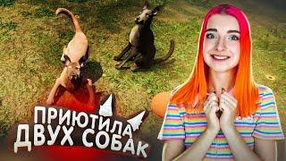 СПАСАЮ УЛИЧНЫХ СОБАК ► Animal Shelter #3