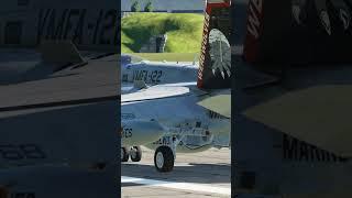 F-18 Hornet #dcsworld #pc #shorts #4k #f18 #youtubeshorts #aviation #gaming #pcgaming #8k #landing