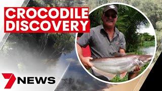 Queensland crocodile attack, human remains found in croc at Cape York’s Kennedy River in Lakefield