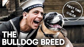 The Bulldog Breed | COLORIZED | Free Classic Film