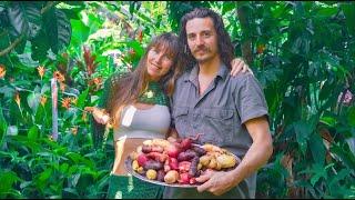 Our Food Forest in Australia | What we grow and eat from our garden