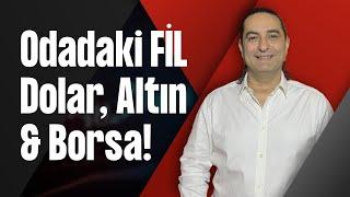 Odadaki FİL - Dolar, Altın & Borsa!