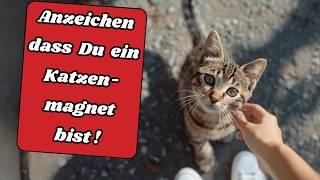 6 Eigenschaften die Katzen LIEBEN und du hast sie vielleicht auch!