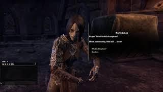 Newbie play Elder Scrolls Online