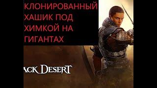 BDO | RUS | ХАШИК ПОД ХИМКОЙ НА ГИГАНТАХ (ХАДУМ)